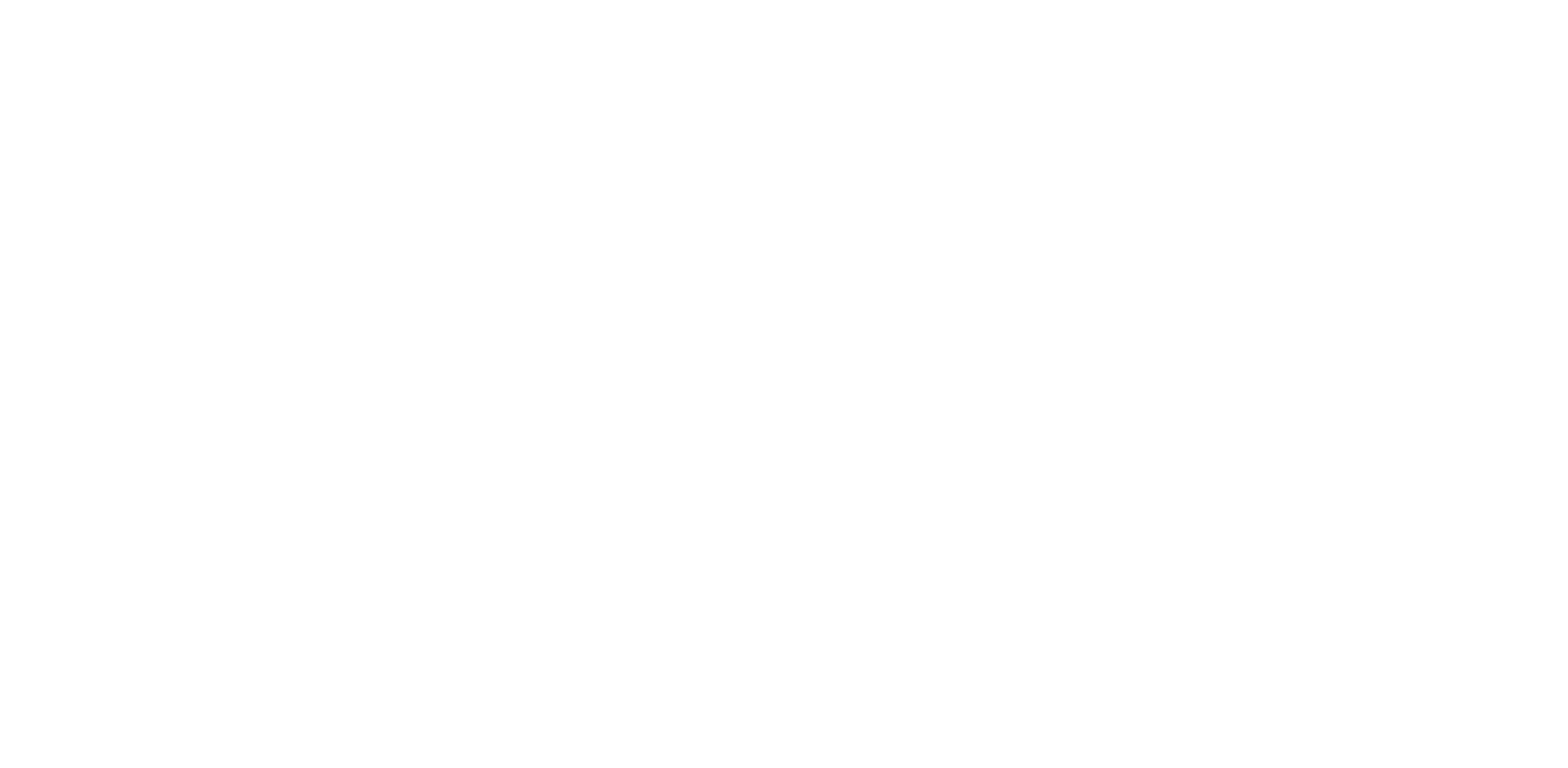 BULLY LOGO OPTION 3 copy
